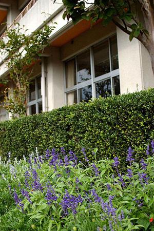 楽しみながら子供たちの創造力を養える